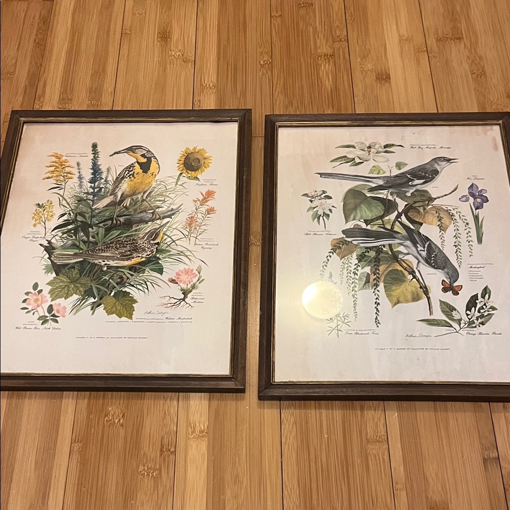 Arthur Singer vintage Floral and Bird Art Print Set with Wooden Frames